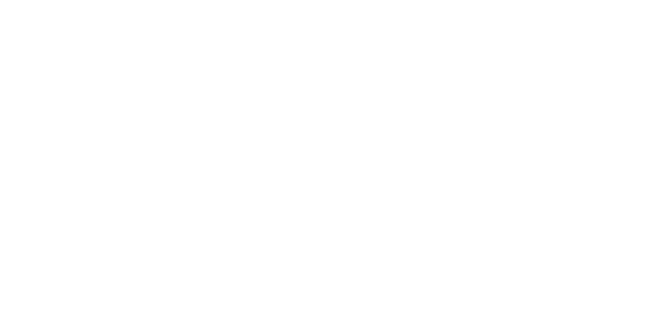 레드타이거 logo
